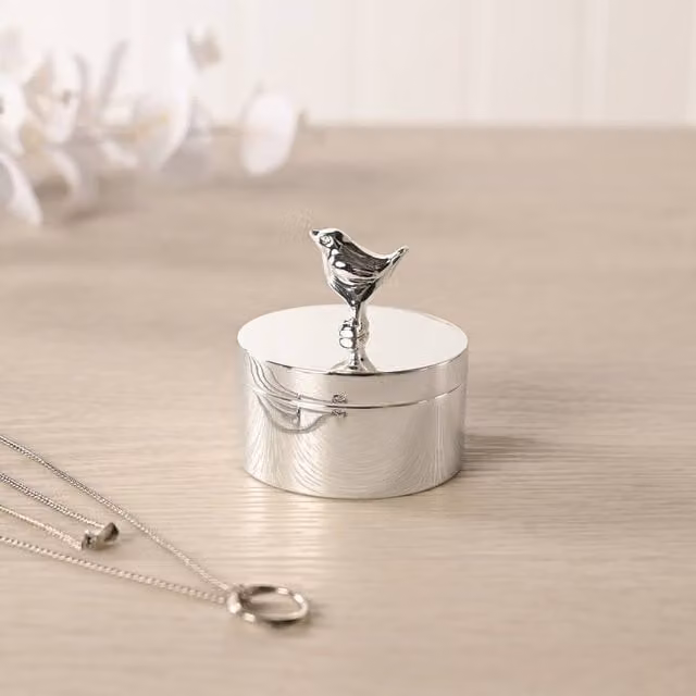 Sophia Silverplated Robin Round Metal Trinket Box in Silver – 1