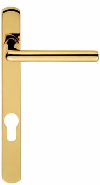 Loops Pair of Straight Lever Narrow Euro Lock Backplate Handles in Brass and Stainless Steel, W: 220 mm x H: 26 mm
