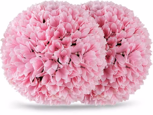 COSTWAY 2 Pack Pink Artificial Plant Topiary Balls