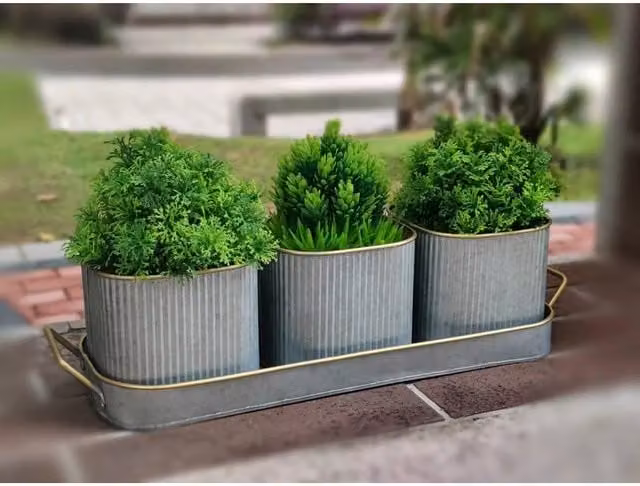 FLAVORA 3 Pack Metal Window Box Herb Planters with Tray in Grey and Gold