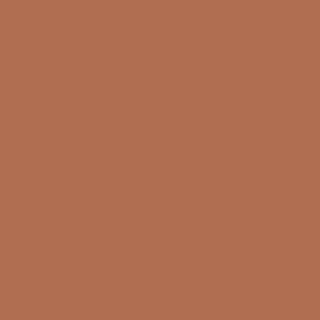 ACER Paint 89 Swatch in Orange and Brown