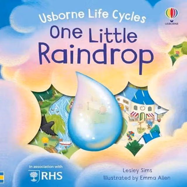 One Little Raindrop Board Book by Lesley Sims, Multicolour