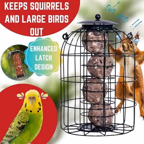 Samuel Alexander Pack of 3 Green Metal Wire Mesh Wild Bird Hanging Nut Seed and Fat Ball Feeders with Squirrel Guard – 3