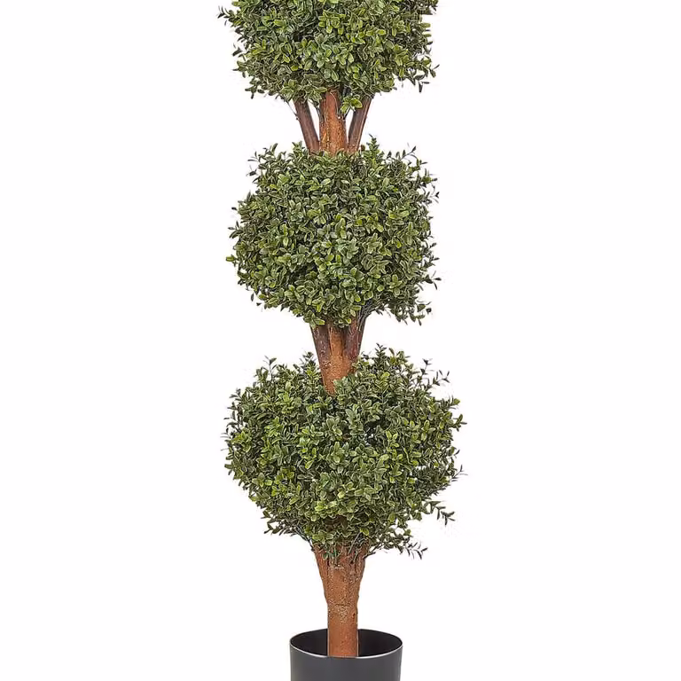 Wyld and Coco Artificial Green Potted Buxus Ball Tree with Solid Cratoxylum Trunk, Height: 120 cm