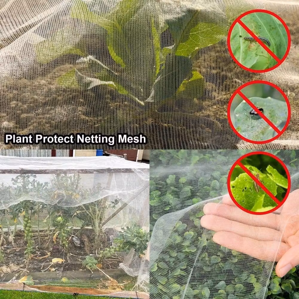 NESTLUNE White Garden Protect Netting for Vegetable Crops, 3 x 15 m – 4