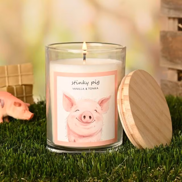 Funny Farm Stinky Pig Multicolour Figure Candle