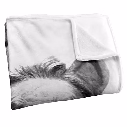 LOGOVISION The Wizard of Oz Vintage Lion Silky Touch Super Soft Fleece Throw Blanket, Multicolour and White, W/D/H: 152 x 127 cm – 2
