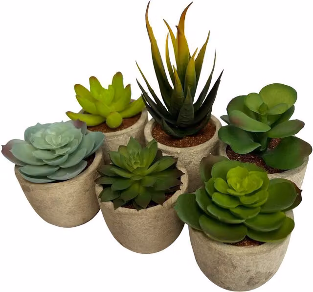 Oypla Set of 6 Artificial Succulent Mini Cactus Grass Plants in Potted Concrete for Tabletop Decoration, Green
