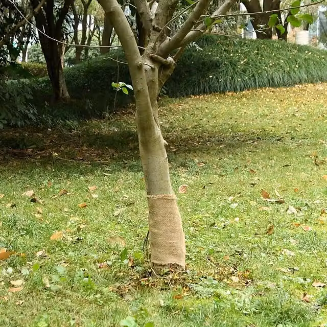 Berkfield Home Jute Roll, Beige and Multicolour, W: 0.25 m, L: 50 m – 1