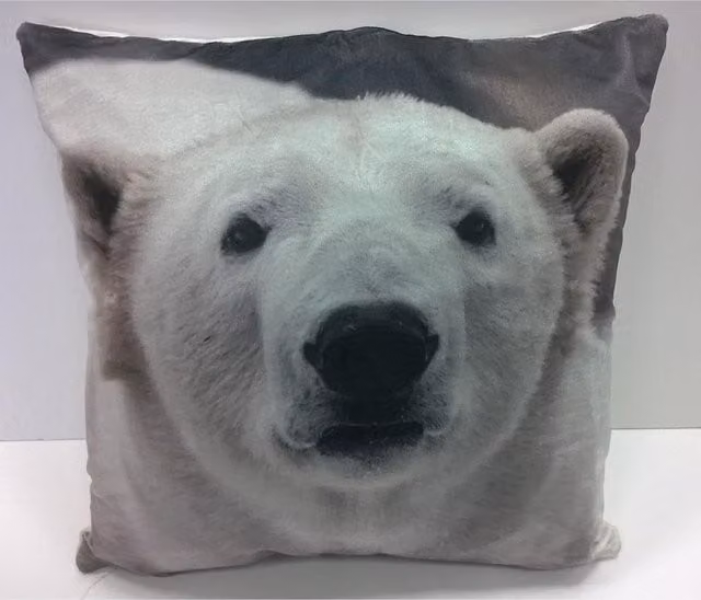 Rapport Home Polar Bears Velvet Cushion Cover, Multicolour, W/D/H: 43 x 43 x 43 cm