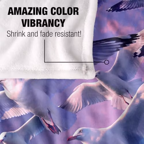 JQ Licensing Royce Mcclure Evening Seagulls Super Soft Silky Touch Fleece Throw Blanket, Blue, W: 91 cm, D: 147 cm – 3