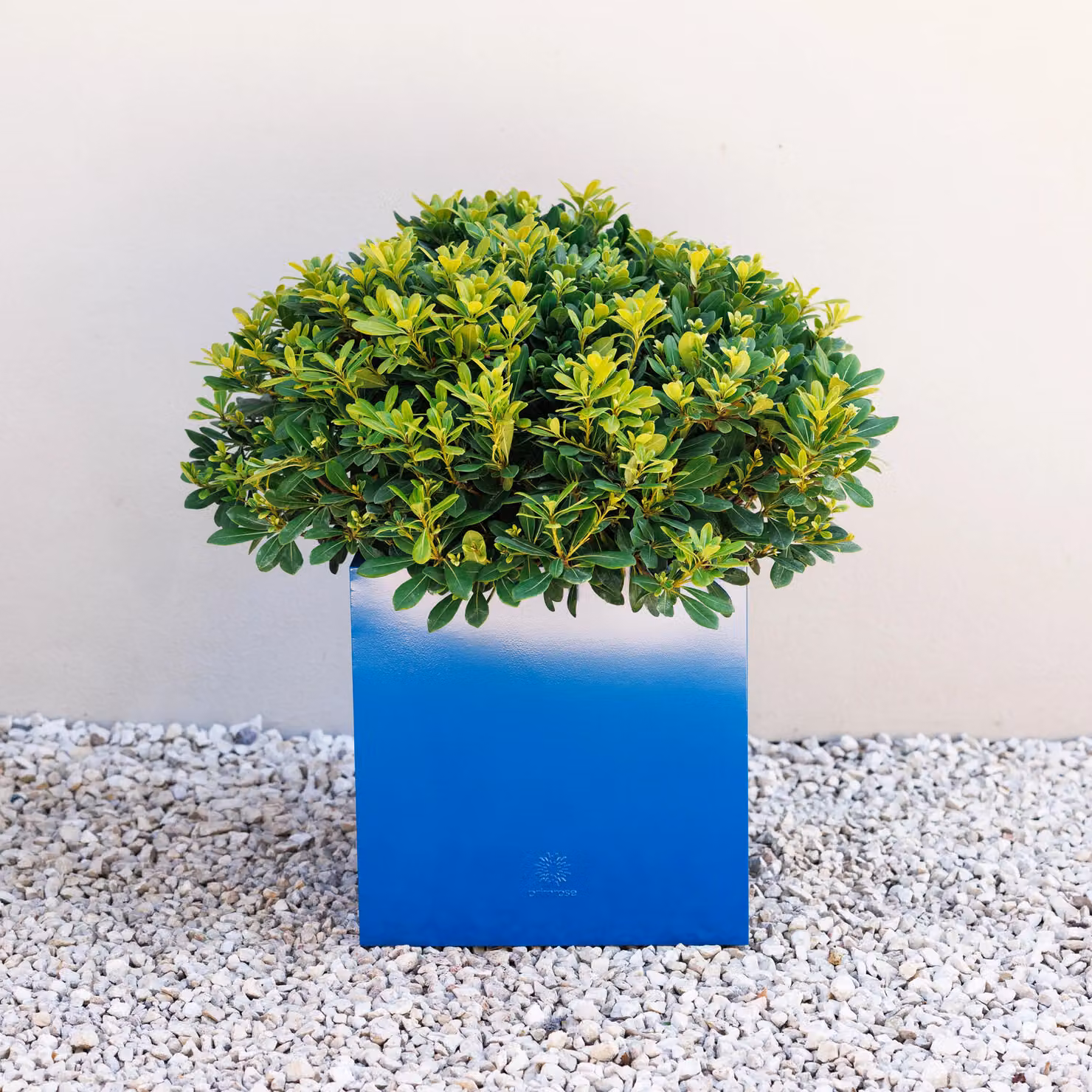 Primrose Blue Galvanised Steel Cube Patio Planter with Drainage Hole W: 40 cm, D: 40 cm, H: 40 cm – 4