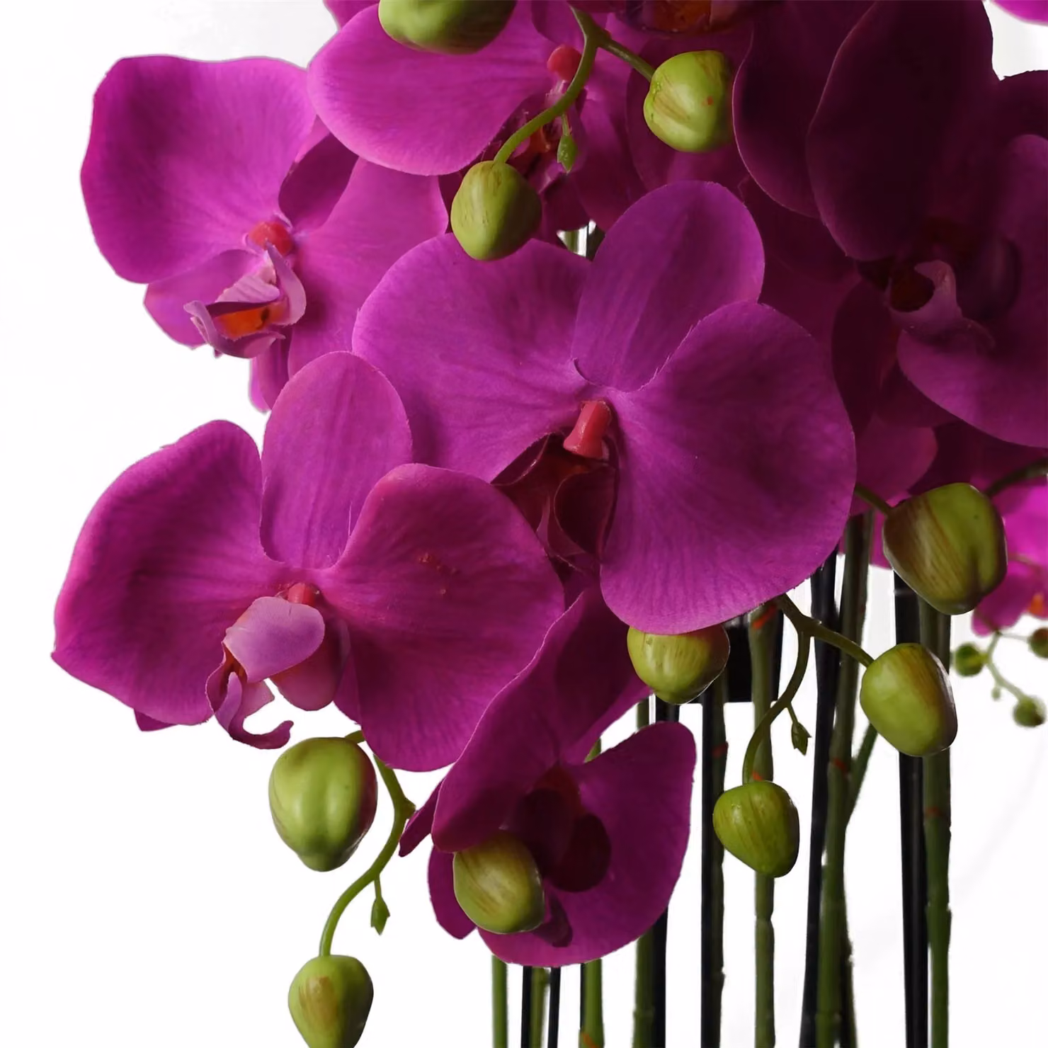 Leaf Botanik Realistic Artificial Purple Orchid Plant, Potted, Height: 150 cm – 2