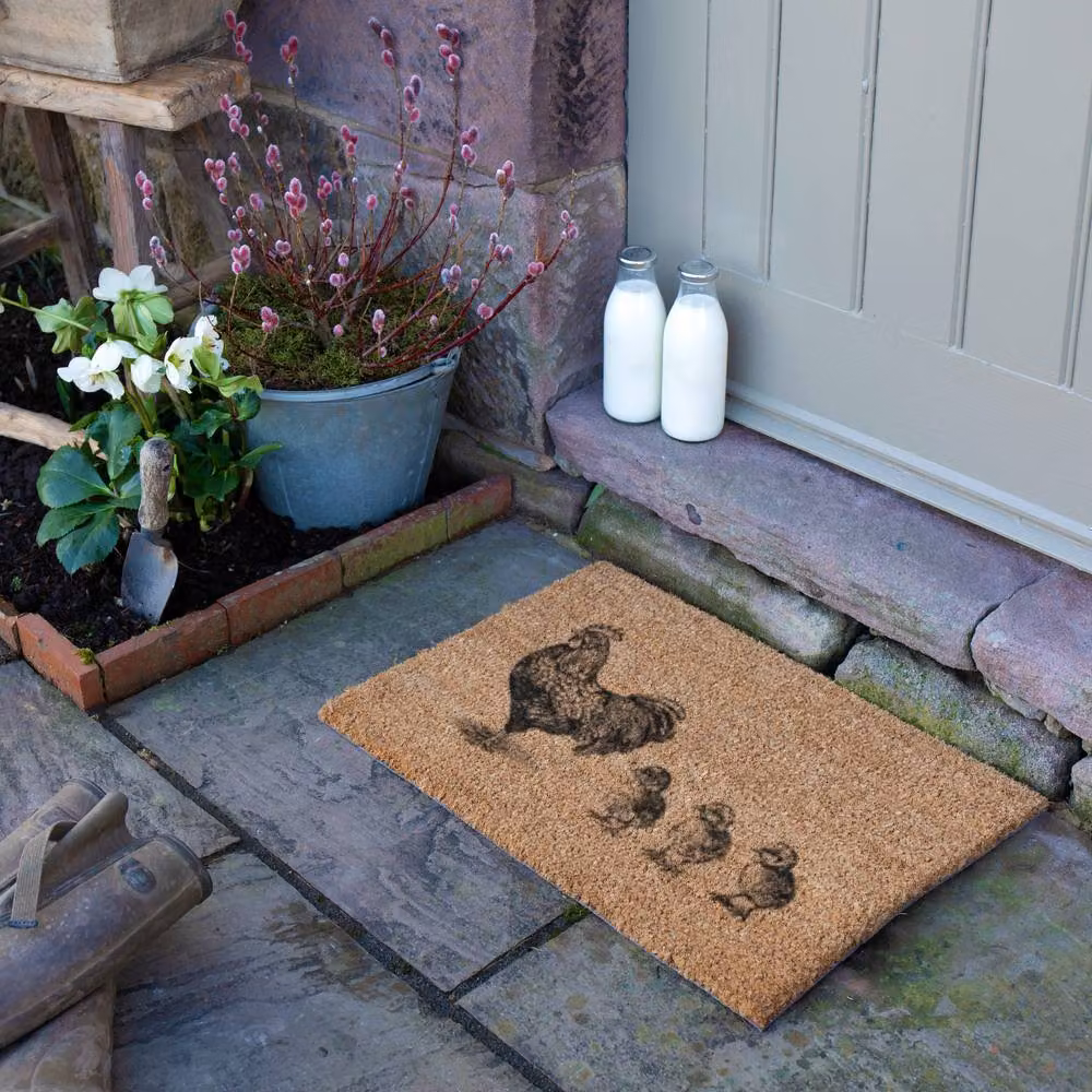 Artsy Mats Chickens & Chicks Doormat, Brown, W: 60 cm, D: 40 cm – 2