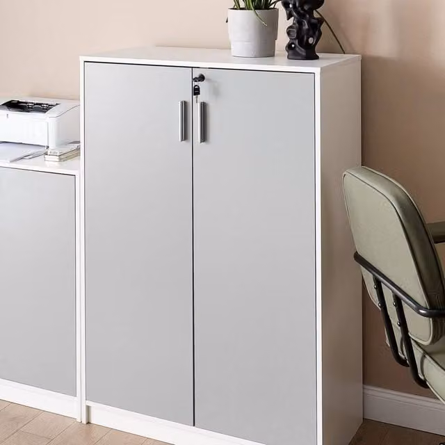 Wyld and Coco Modern Locking 2-Door Cabinet in Light Grey with White Interior