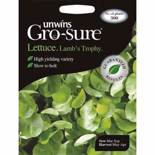 Unwins Amaze Lettuce Vegetable Seeds, Green