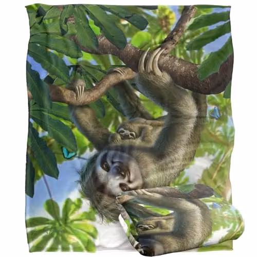 JQ Licensing Jlo Sloth Family Butterflies Super Soft Silky Touch Throw Blanket, White, W: 152 cm, D: 127 cm