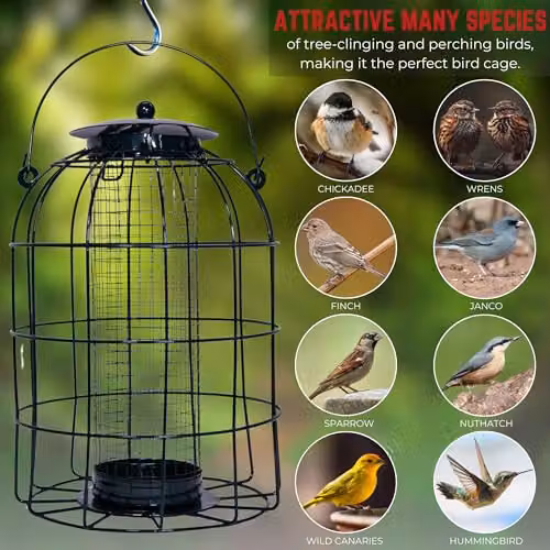 Samuel ALEXANDER Pack of 12 Black Metal Wild Bird Hanging Nut Feeders with Squirrel Guard – 4