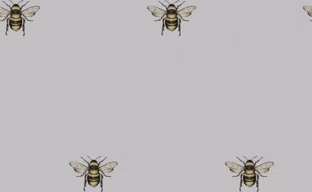 I Love Wallpaper Luxe Bee Wallpaper in Grey