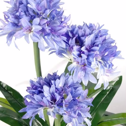 Leaf Design UK Blue Agapanthus Artificial Blossom Tree in Pot, Height: 90 cm – 3