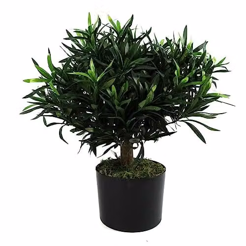 Leaf Design UK Small Green Artificial Bonsai Tabletop Tree H 40 cm x W 40 cm x D 40 cm