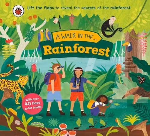 Ladybird A Walk in the Rainforest Lift-the-Flap Board Book, Multicolour – 1