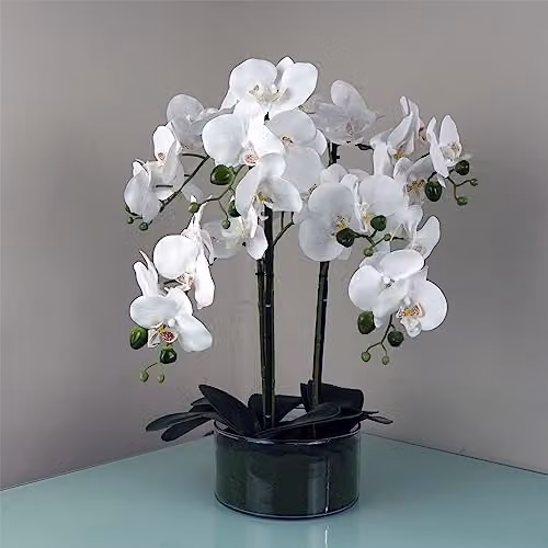 Leaf Design UK 50cm Artificial White and Green Orchid in a Glass Planter