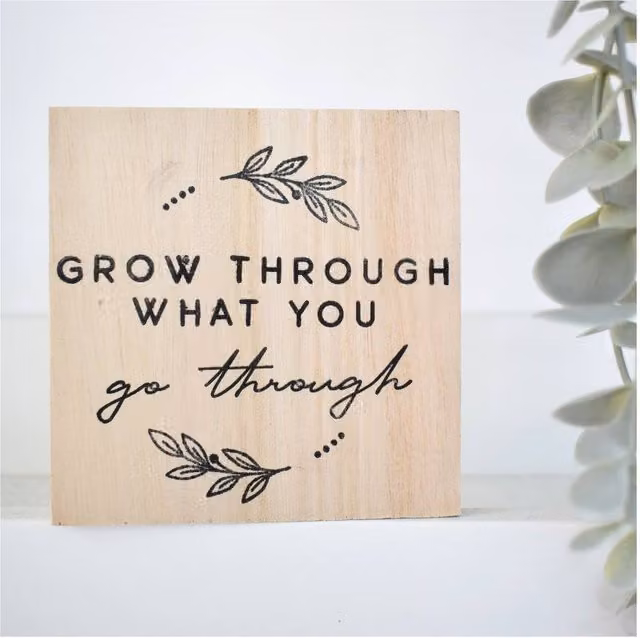 Amaya Rose Ltd Grow Through What You Go Through Solid Wood Wall Plaque Shelf Decor in Beige