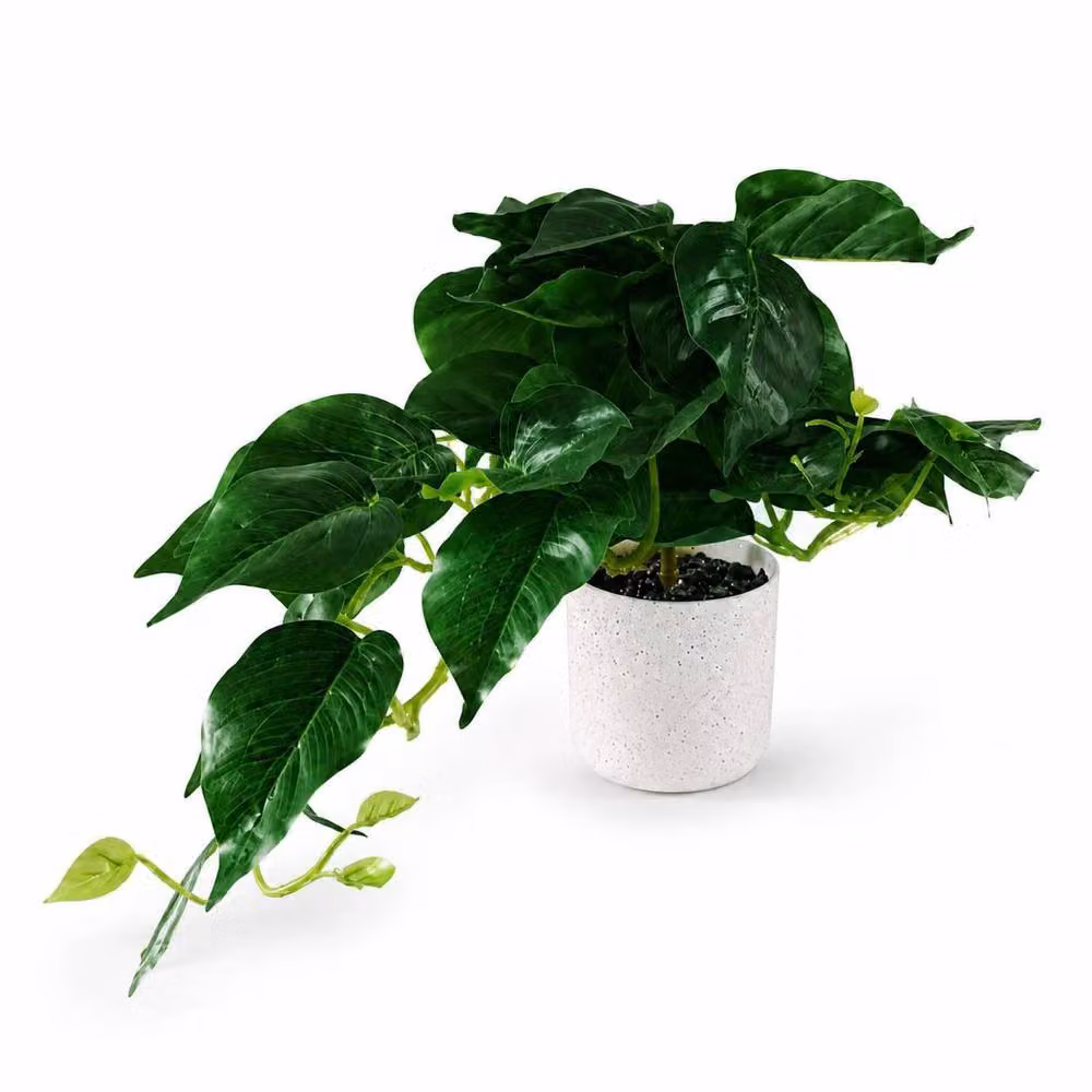 Botanik Realistic Artificial Green Potted Plant in a White Tabletop Pot, H 30 cm x W 20 cm x D 20 cm – 2