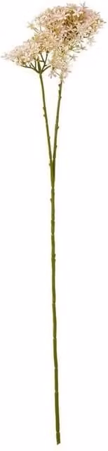 Lemon Pavilion Furniture and Decor Pink Crown Hydrangea Single Stem Flower, W: 18 cm, D: 16 cm, H: 71 cm