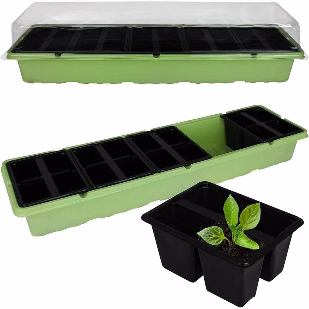 SPETLEK 2 x 20 Cell Propagator Tray Lid in Green and Transparent Plastic – 5