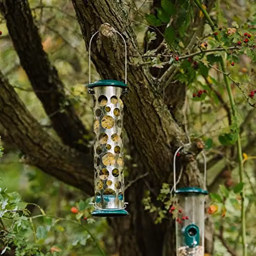 Peckish Large All Weather Metal Energy Suet Fat Ball Bird Feeder, Green – 5
