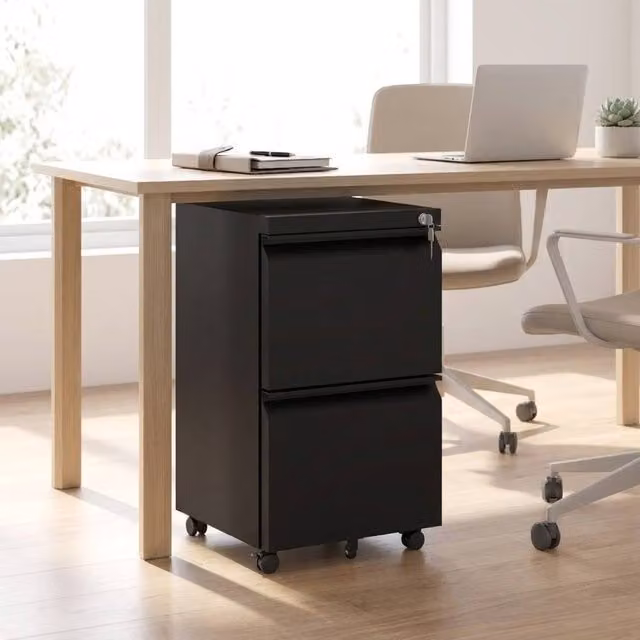 STILVORA Mobile Filing Cabinet with 2 Drawers in Matt Black Metal