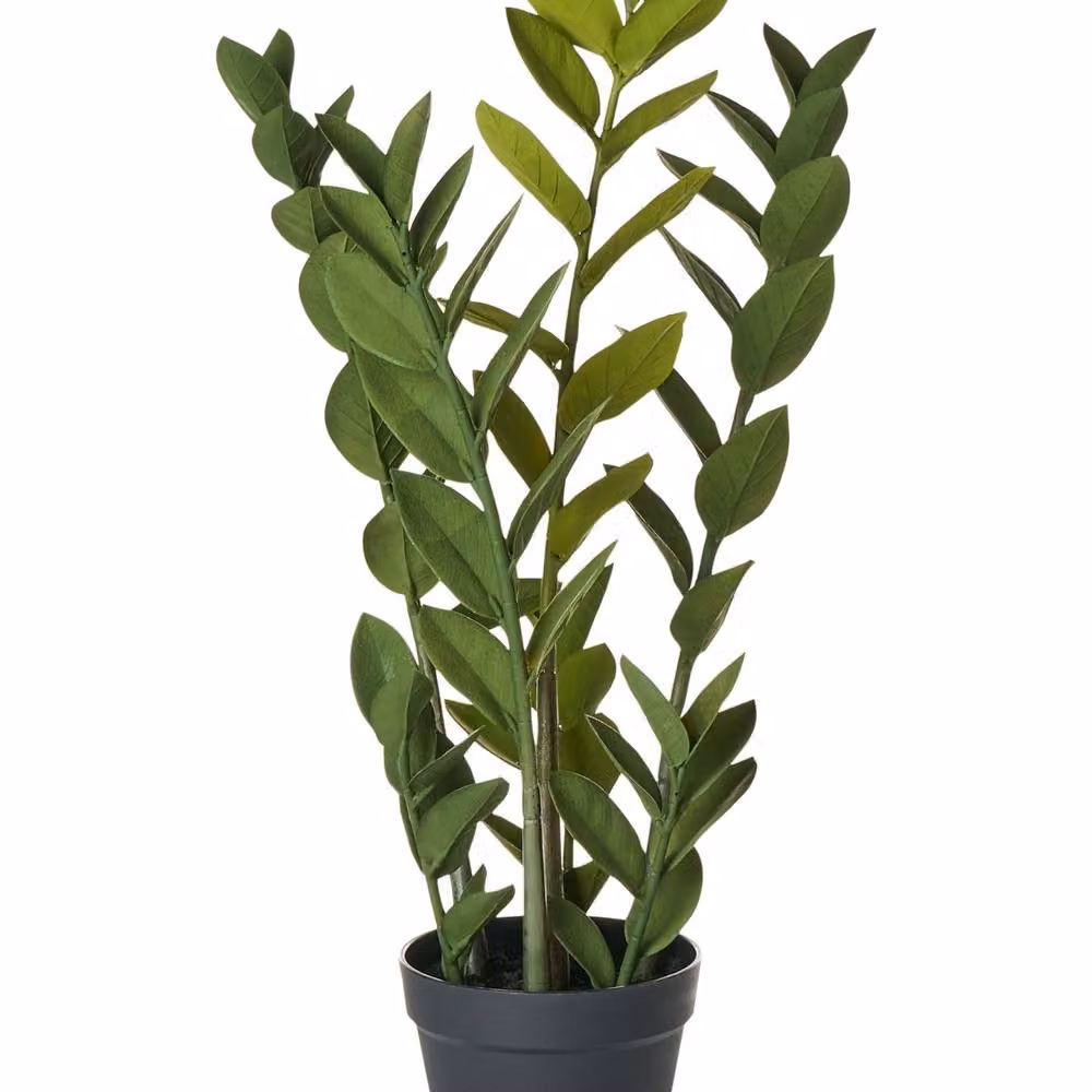 Wyld and Coco 76 cm Artificial Potted Zamiifolia Green and Black Indoor Decorative Plant – 2