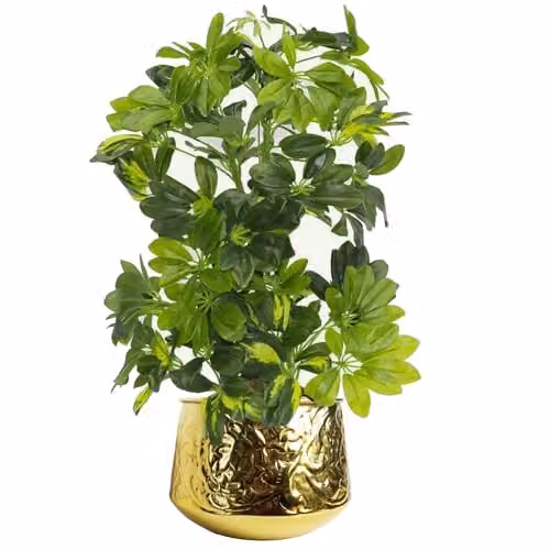 Leaf Design UK Gold Metal Decorative Tabletop Planter, W/D/H: 24.0 x 22.0 x 18.0 cm – 2