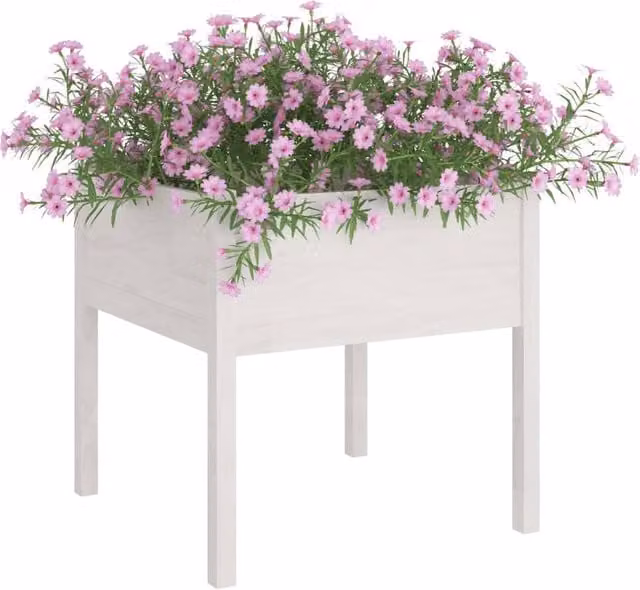 Berkfield Home Durable Garden Planter in White Solid Pinewood, W/D/H: 70 x 70 x 70 cm – 1