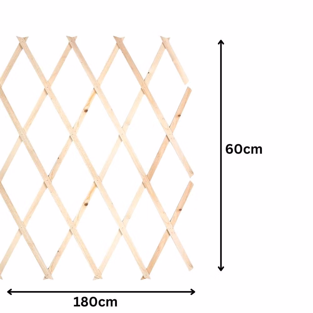 Marco Paul Brown Wooden Expanding Trellis Support, H 180 cm x W 60 cm – 2