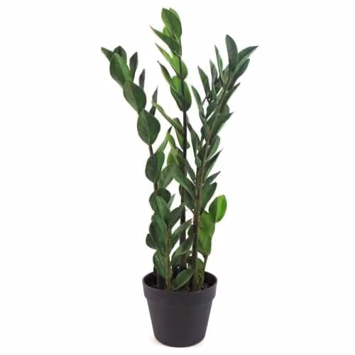Leaf Design Tropical Zamioculcas Artificial Potted Green Plant, Height: 75 cm – 1