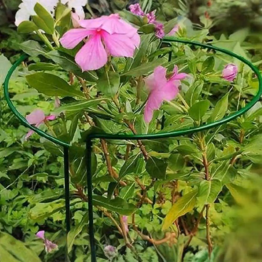 Marco Paul Green Metal Garden Plant Support Stakes, 3 Pack – 3
