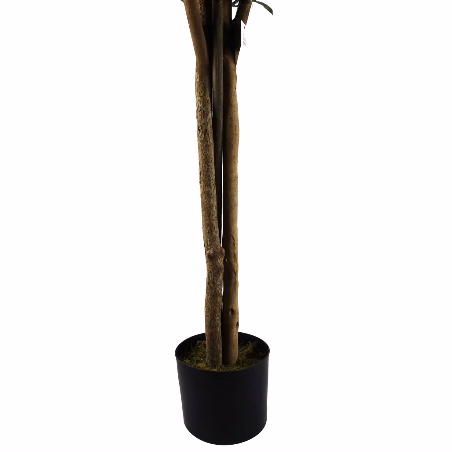 Botanik Green Artificial Bay Laurel Tree, UV Resistant Outdoor Topiary, Height: 120 cm – 3
