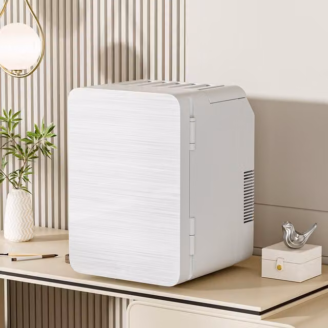 Livingandhome 10L Mini Portable Refrigerator in White