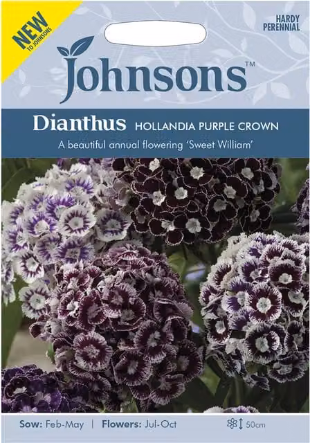 Johnsons Dianthus Hollandia Purple Crown Flower Seeds in Purple and White