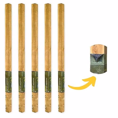 Postsaver Pack of 5 Square Pressure-Treated Timber Fence Posts, Brown, 7.62 x 7.62 cm, Length: 244 cm