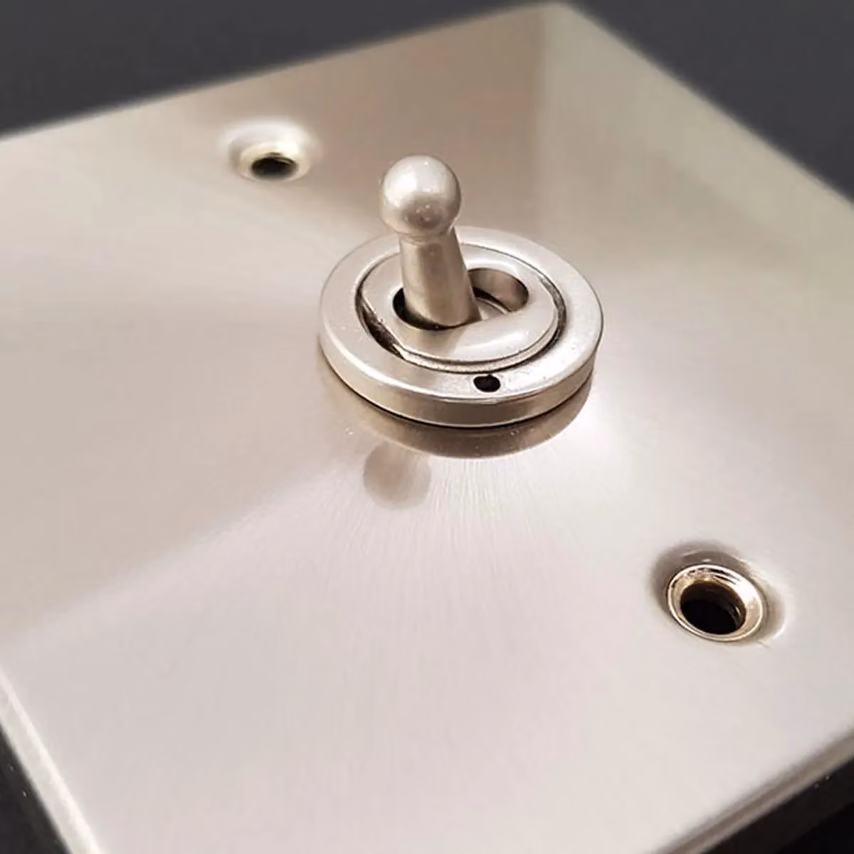 SE Home 1 Gang 20A Ingot DP Flush Switch in Brushed Chrome and Metallic Silver – 2