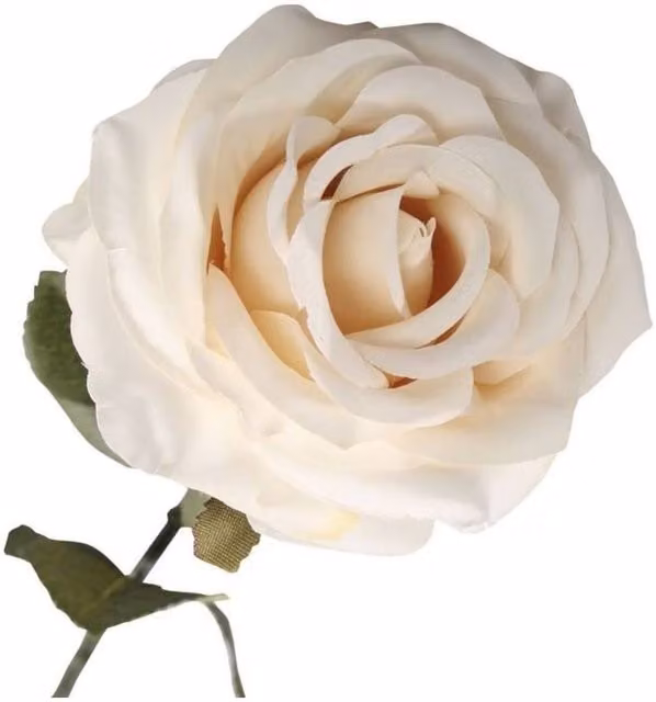 KDMD Vintage Rose Artificial Flowers, 3 Pack, Beige and White Textile Flowers