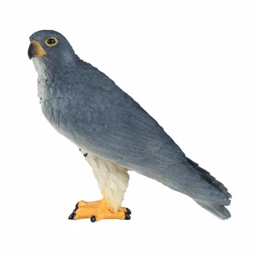 MOJO Peregrine Falcon Wildlife Collection Collectable Animal Toy Figure in Grey and Multicolour