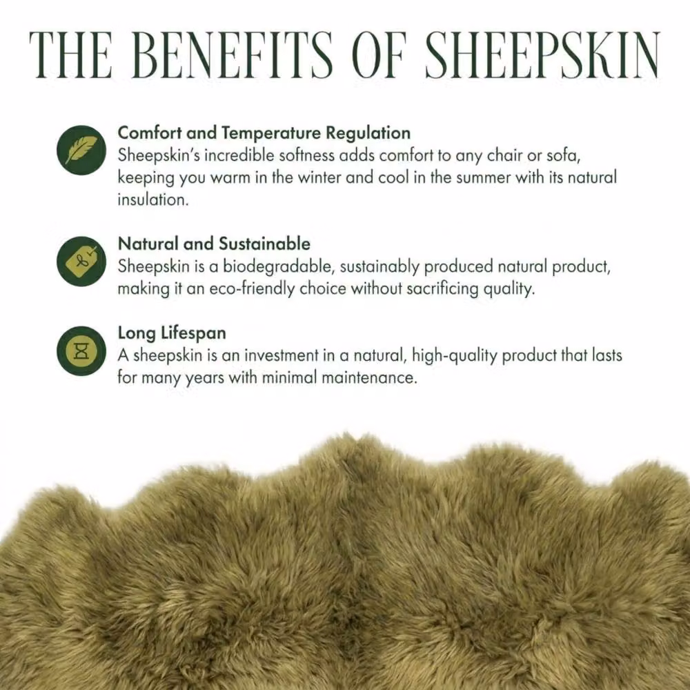 Infinity Leather Natural Real Sheepskin Wool Single Rug, Green, W/D: 90 x 60 cm – 4