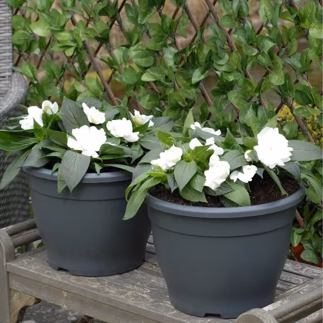 Thompson & Morgan Sabina Patio Planter Pot in Grey/Anthracite