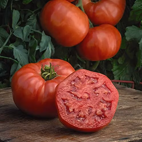 Thompson and Morgan Tomato Burlesque Vegetable Seeds, 1x Seed Packet