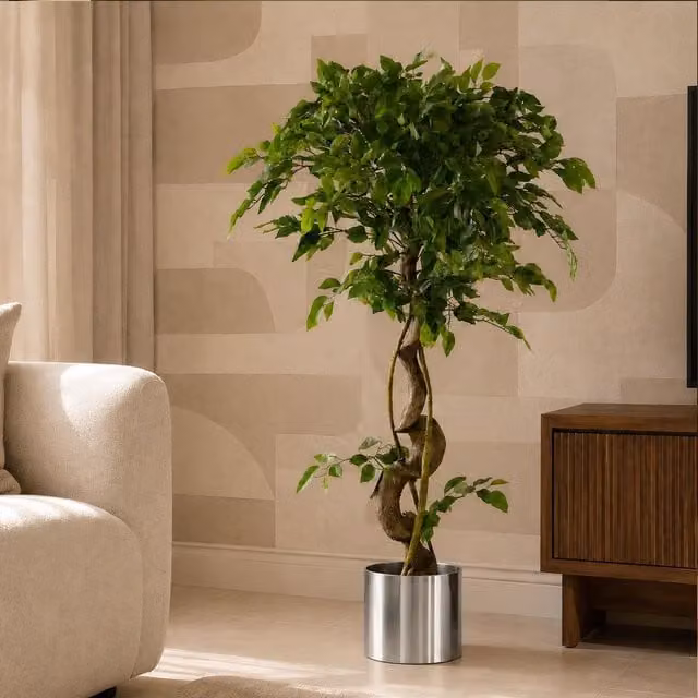 Botanik 120cm Twisted Trunk Artificial Fruticosa Ficus Tree in Green with Silver Planter – 3
